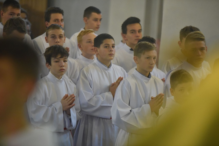 Lektorzy w Piwnicznej-Zdroju