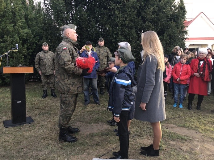 Dąb Marszałka w Sandomierzu