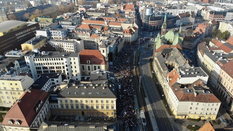 Radosna Parada Niepodległości cz.1