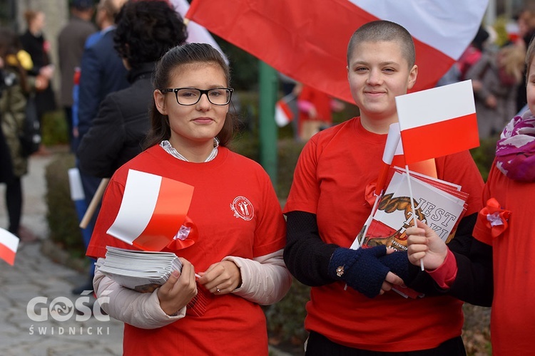 Obchody 100. rocznicy odzyskania niepodległości przez Polskę w Świdnicy