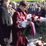 11 Listopada w Tarnobrzegu