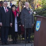 11 Listopada w Tarnobrzegu