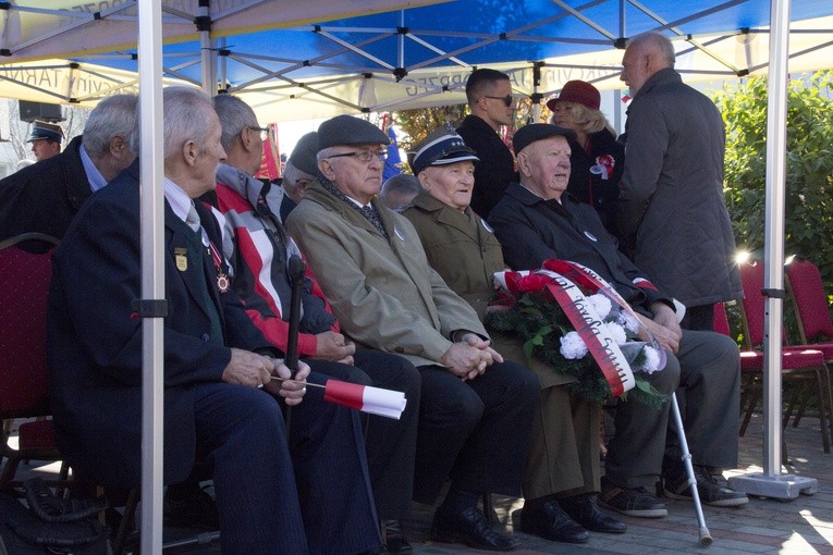 11 Listopada w Tarnobrzegu