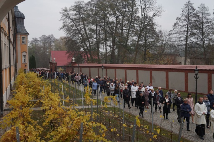 Odpust św. Marcina w Paradyżu