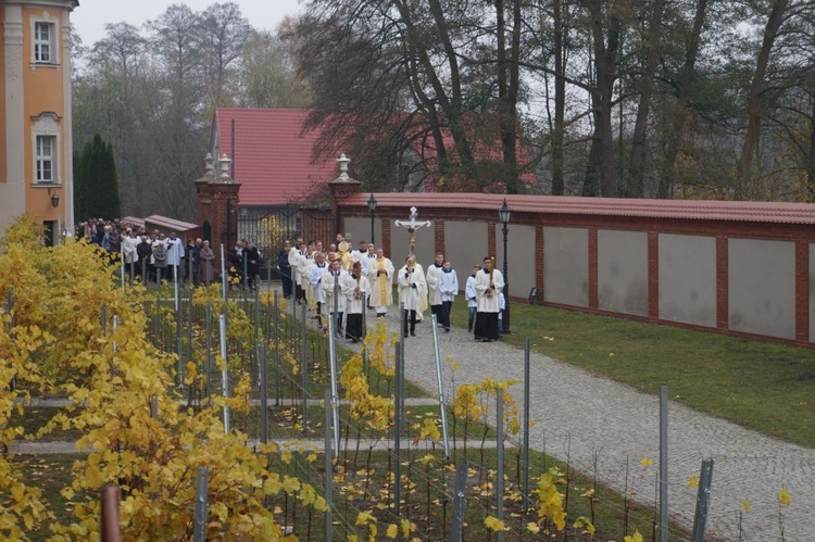 Odpust św. Marcina w Paradyżu