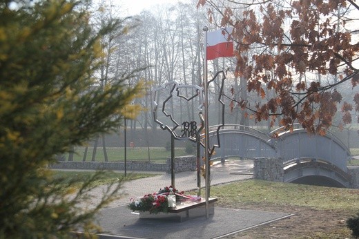 Pomniki niepodległości Polski w Tychach i Mszanie