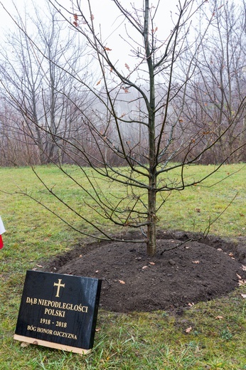 Narodowe Święto Niepodległości w Ciechanowie