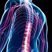 Nowa terapia może być stosowana u pacjentów z uszkodzonym, ale nie przerwanym rdzeniem kręgowym.