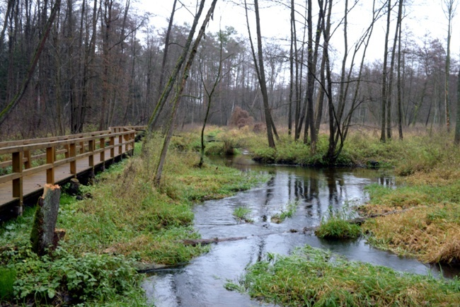 Rekolekcje duszpasterzy leśników