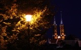 Uroczystość rocznicy poświęcenia katedry wrocławskiej