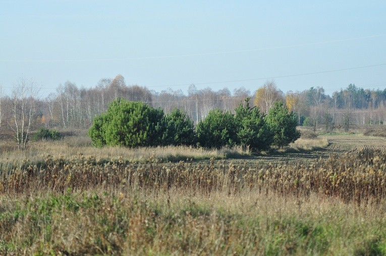 Parafia w Białce