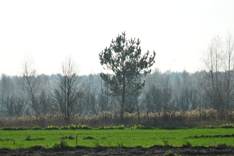 Parafia w Białce