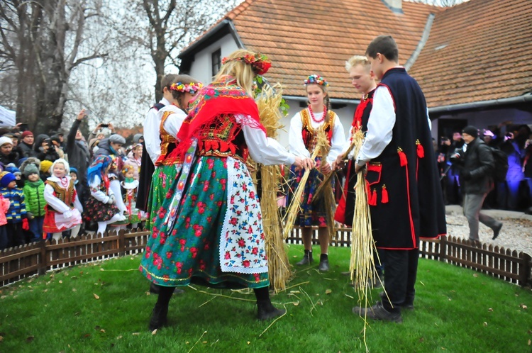 Osadzanie chochoła w Rydlówce 2018