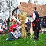 Osadzanie chochoła w Rydlówce 2018