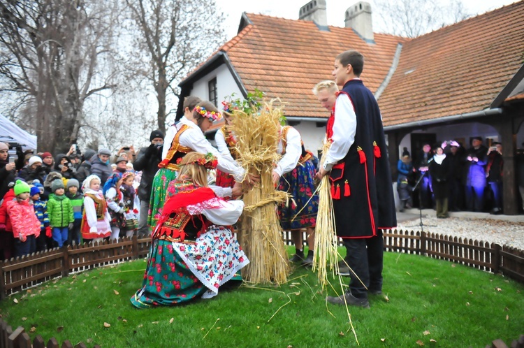 Osadzanie chochoła w Rydlówce 2018