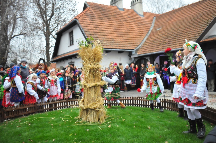 Osadzanie chochoła w Rydlówce 2018