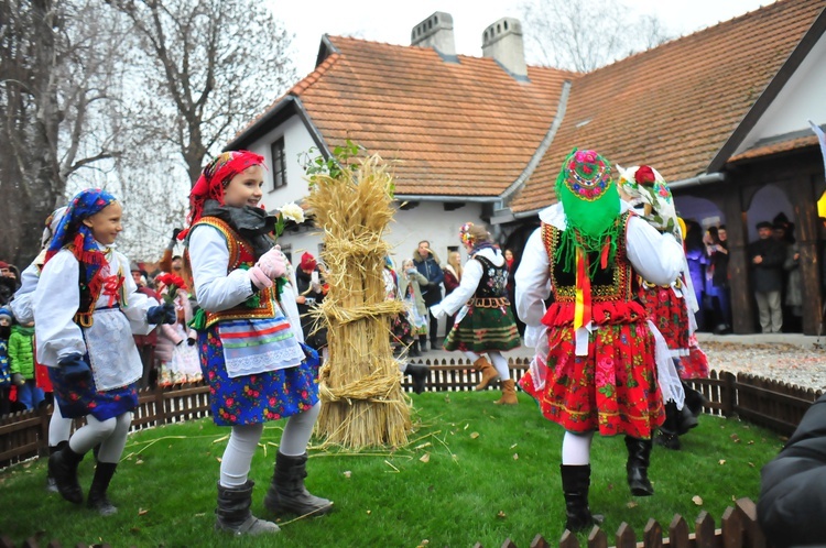 Osadzanie chochoła w Rydlówce 2018