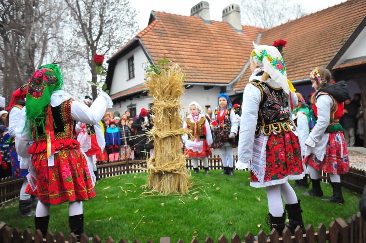 Osadzanie chochoła w Rydlówce 2018