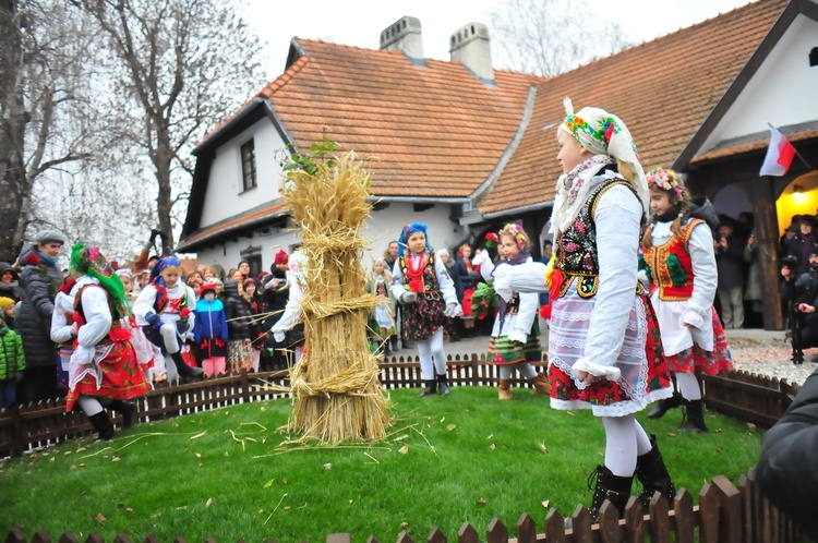 Osadzanie chochoła w Rydlówce 2018