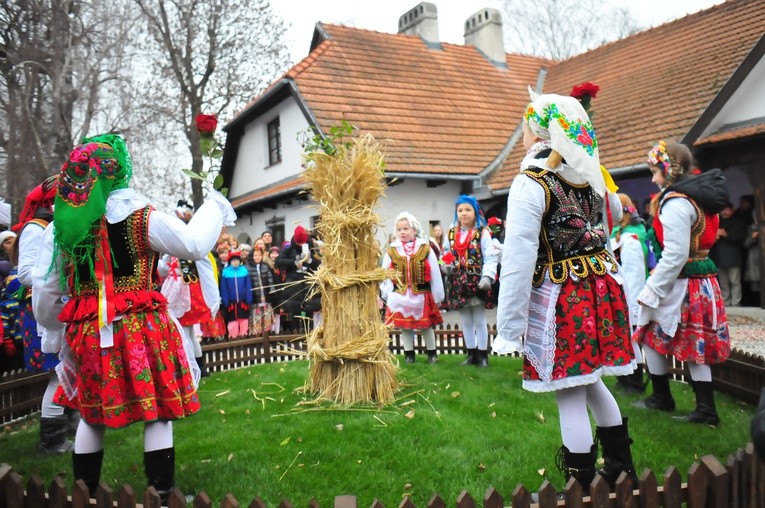 Chochoł osadzony, Rydlówka otwarta