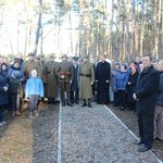 Cmentarz polskich żołnierzy w Rokicinie