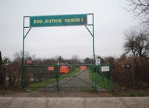 Obwodnica