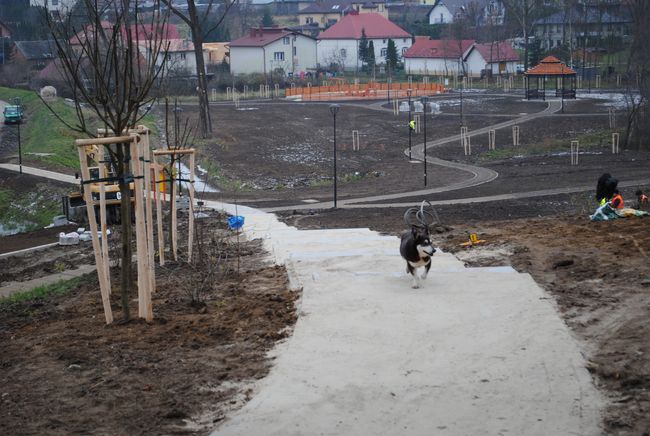 Obwodnica i działki w Stalowej Woli