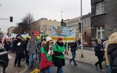 Barwny korowód proekologiczny w Katowicach 