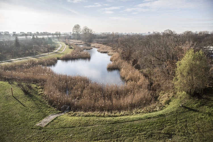 Nowa szkoła pijarów na Siekierkach