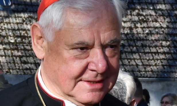 Kard. Müller: potrzebujemy pojednania i nawrócenia