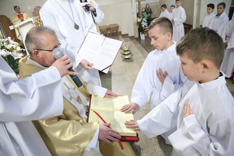 Lektorzy w Dąbrowskie Tarnowskiej