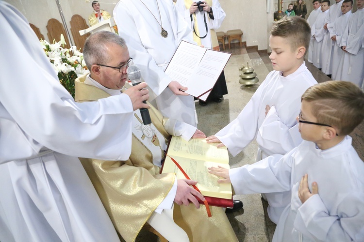 Lektorzy w Dąbrowskie Tarnowskiej