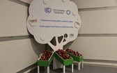 COP24 - dzień pierwszy