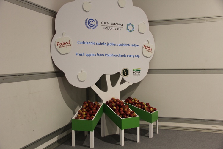 COP24 - dzień pierwszy