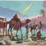 Kolekcja kartek świątecznych 