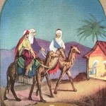 Kolekcja kartek świątecznych 