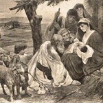 Kolekcja kartek świątecznych 