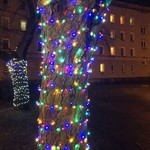 Iluminacje w Stalowej Woli