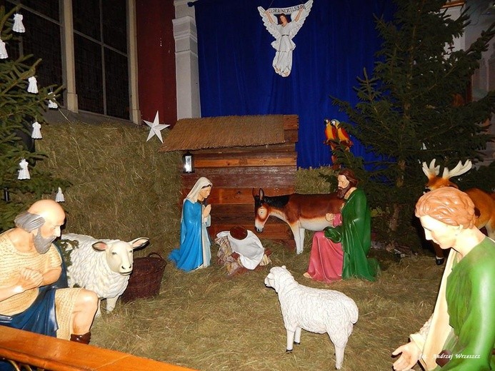 Szopki w kościołach diecezji