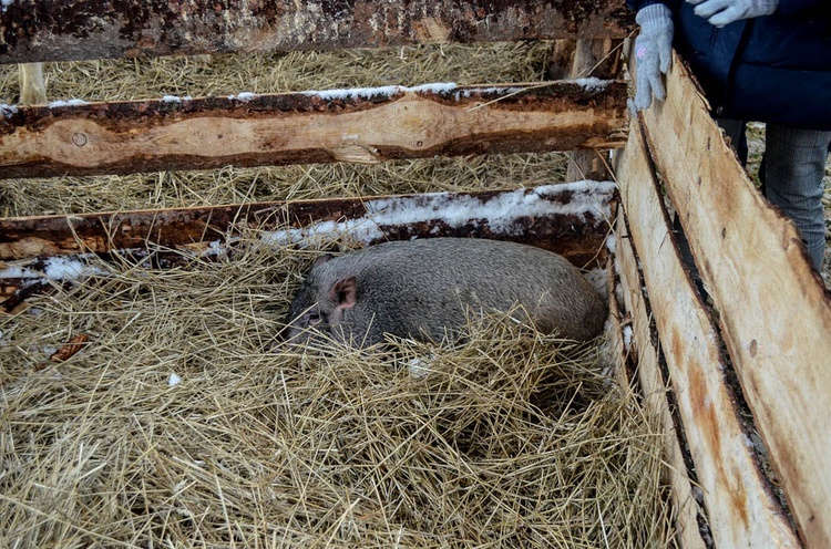 Kolędowanie w Szczereżu