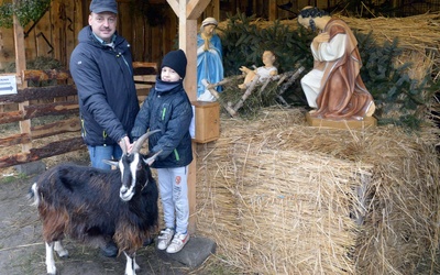 Jednym z budowniczych szopki i opiekunem żywego inwentarza jest Mariusz Ptaszek (na zdjęciu z synem Pawłem), wielki rycerz kozienickich Rycerzy Kolumba 