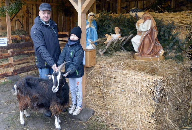 Jednym z budowniczych szopki i opiekunem żywego inwentarza jest Mariusz Ptaszek (na zdjęciu z synem Pawłem), wielki rycerz kozienickich Rycerzy Kolumba 