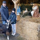 Jednym z budowniczych szopki i opiekunem żywego inwentarza jest Mariusz Ptaszek (na zdjęciu z synem Pawłem), wielki rycerz kozienickich Rycerzy Kolumba 