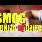 Jak  SMOG  wpływa na Twój mózg?