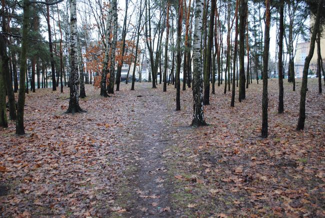 Kokosza Górka w Stalowej Woli