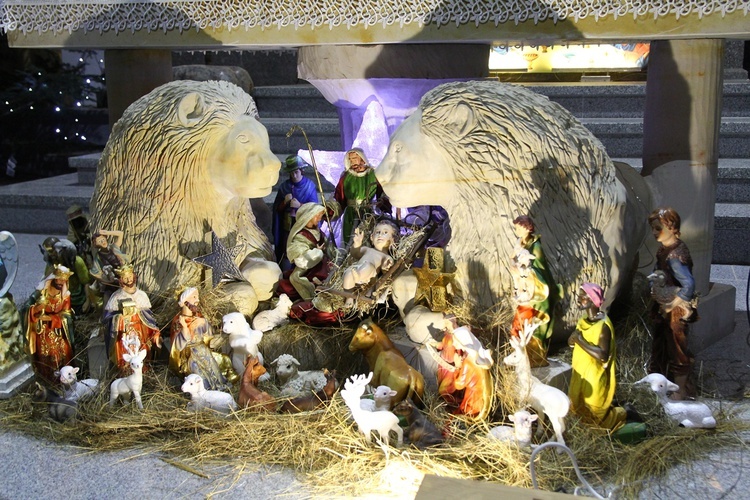 W Nowy Rok na Ślęży