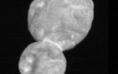 Sonda New Horizons przesłała zdjęcia obiektu Ultima Thule