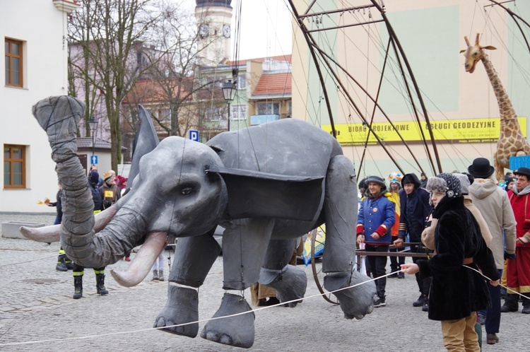 Orszak Trzech Króli 2019 - Wołów