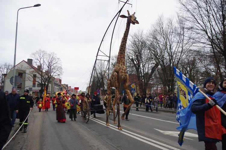 Orszak Trzech Króli 2019 - Wołów