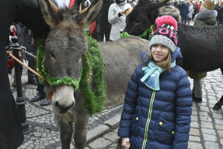 Świdnica. Tutaj znów były osiołki...